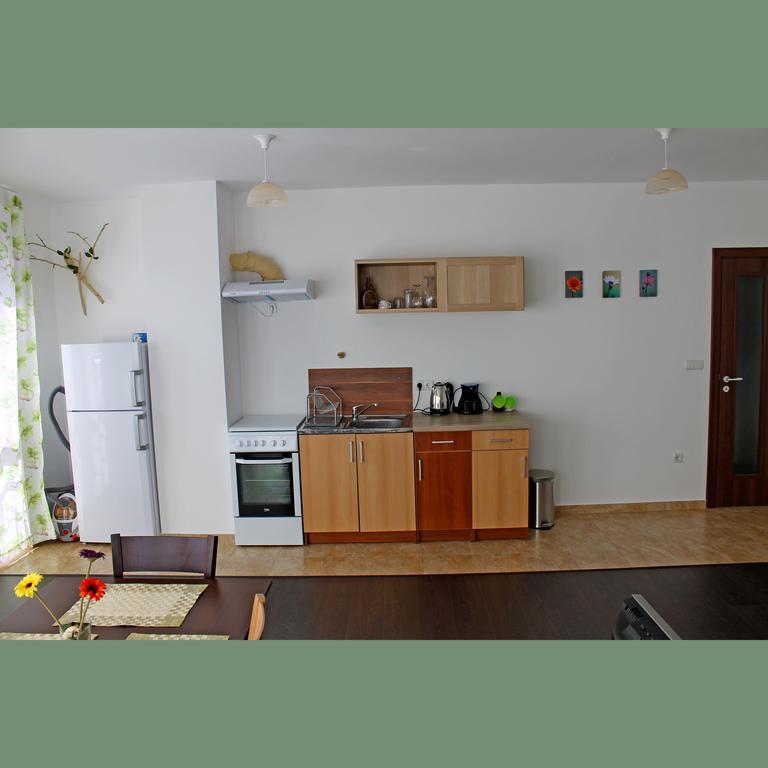 Flora Apartment Centrum 索菲亞 客房 照片